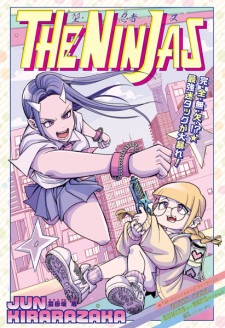 The Ninjas